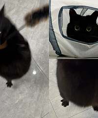 è���ֵ�û���� ����������ȴ������