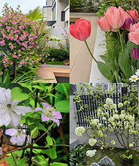 ����С�׵�Ժ��4�»������ϣ��ÿ�����