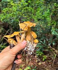 ��ɽ���˺öࡰ���빽����������ʶ���ж��ܳ���