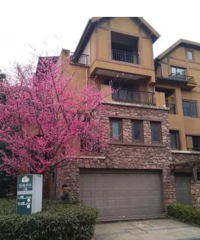 ���ҿ�180���Ҽ�©�����鷿����ɽ��ˮ����԰