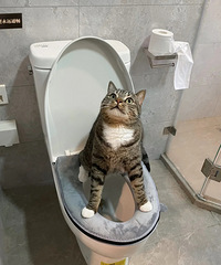 ���˼�è ���ý̾ͻ�����Ͱ��Ī���ϱ����Ǹ���