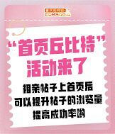 帮你上首页,提升浏览量,提高成功率