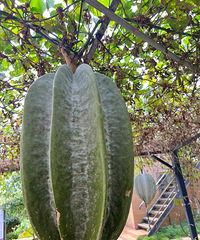 ˭�ܸ���������ʲôˮ�����������ң��ȶ��ϻ���