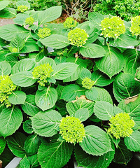 ����14��Ʒ�����򼴽��������ֻ�so easy