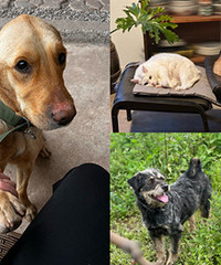 �ӳ���ᵽũ�壬�������ҵġ�����ϵͳ��