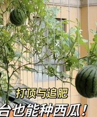 û��������̨Ҳ��������