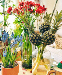 ��Ӱ��ֲ�С�������ÿ���ڼ�ʮ�軨����������Ľ��