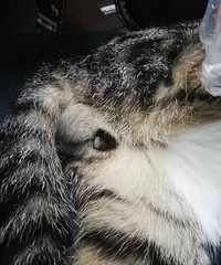 è˯���˾�Ȼ�����������ε�ɶ����