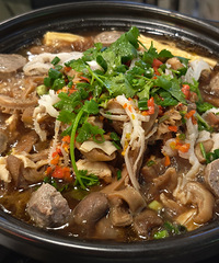 ޶��ʳ��ëϵ�С�ǿʢ���¯