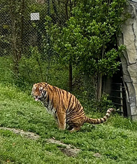 ����԰�Ķ��ﶼ�ڸ�ɶ�����ϻ�����ʺ������ͷ