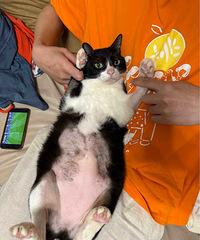 è������ë�������е�ͺͺ�ģ���Ƥ������