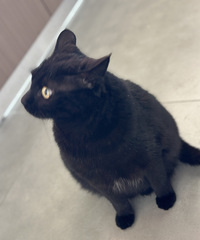 ����15���èͬ�£���쭳������ˣ�������ʧ����