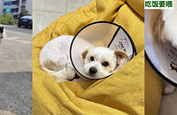 ���조�����������ع������˶����������������