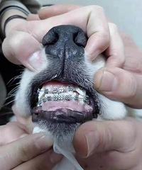 �ⶼɶ��ͥ���������ӹ��������ף����������񲰡