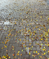 ������������磬��Ļ�԰���������˻���������