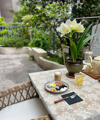 �������峿���ڻ�԰�����Լ�������ͣ�̫�����