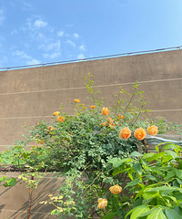 СԺ�Ļ��������ˣ�20����¼�һ��ȫ��������