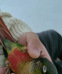 ��ϲ������ʣ��С��������ˣ�����750���Թ���