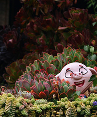 90갮Լݺ¶Ӫĸ飬ϣԷ87~95