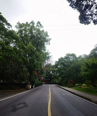 歌乐山下,美景无数