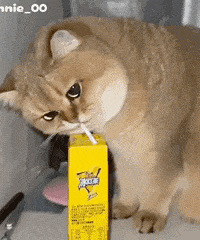 ������ֵ���򡿹��ݾƼ�����4��11�����ⶴ���ֱ���2֧ī��7