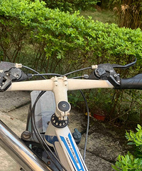 ��æ������¥�������Ƿ�ӡ��һֻ����