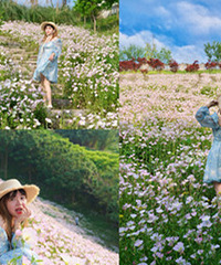 ���ǣ���ѣ���������ɽ���¼��ݻ���