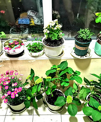 ��������󳬼��飬���ҹ���賿2���������Ȼ�