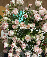 �ֻ����У��Ǿ����ʻ��ɣ���ɫ��ͷõ��һ���ܴ���