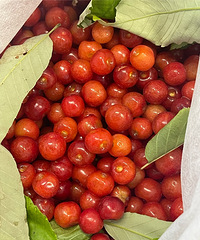 min���������Ⱳ�ӳԹ�����Ķ��Ҷ�