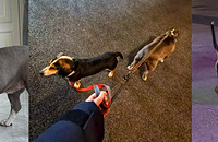 ��Թ������ֻ�Ҵ����ң���������С����·������