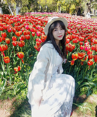 ����ͨ����̳�ѵ��ˣ�90��160CM��3ֻè��С���Ҳ������