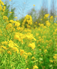 ŮΪҹȶҽӴˣ󻷾զ