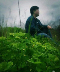 97175CMС飬ϣԷͥг