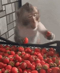 ������ֵ���򡿿ڴ�����ɡ14���Ŀ��꾲������ѭ����59