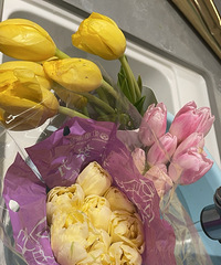 �����㱻���ѹ�����ˣ���Ҳ����ס��������