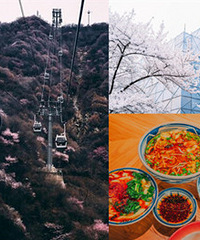 ������ʱ�䡰��������ս��ɽ��