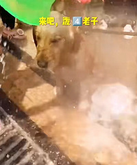 ������ˮ�ڸ�����ܺ��߳����ˣ���������������ɶ