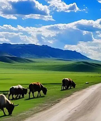 һȥ2024һ2-6Լ·Ƽ