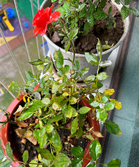 �������¼���ô���ư�˪�ͺ�߲���������