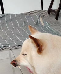 36178CM30ĸ飬ϣԷ160