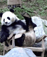 ������ֵ�����Ž�ʿ��Ư��2��29��������˿����T��3��64