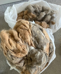 [����]����10��èë���˴����ӣ��޸���˵��ů��