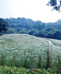 ���棡�ܹ�PK�山���빫԰�Ĺ�԰��������һ��ʲô����������