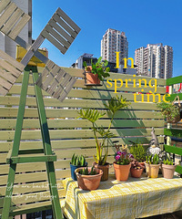 再不发帖,重庆的春天都快要过去了