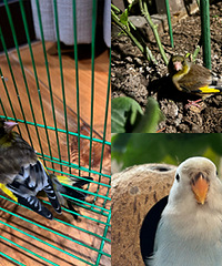 ��������ֻ���ȸ���������¸�ĵ�����