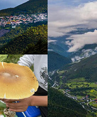 ������ʯ�ǡ�������������ϸ����