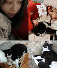 家有2猫,一个社恐怕生一个社牛发癫