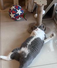 è�����������ë�����ˣ�1���³�7����ɶ�����