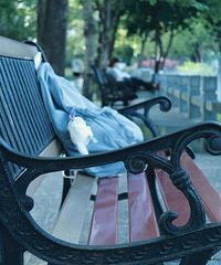 [����]��Ҷ�ȥ���Թ�԰20����ЧӦ��������Ҫ����������